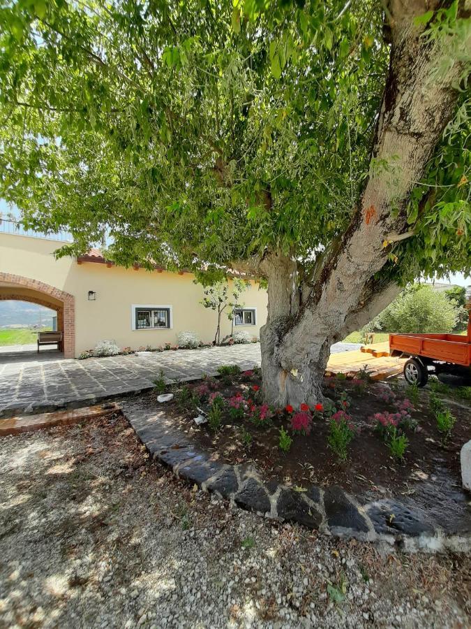 كاباتشو - بايستوم B&B Tenuta San Michele المظهر الخارجي الصورة