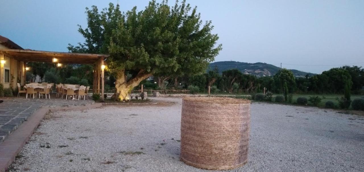 كاباتشو - بايستوم B&B Tenuta San Michele المظهر الخارجي الصورة