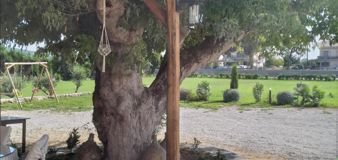 كاباتشو - بايستوم B&B Tenuta San Michele المظهر الخارجي الصورة