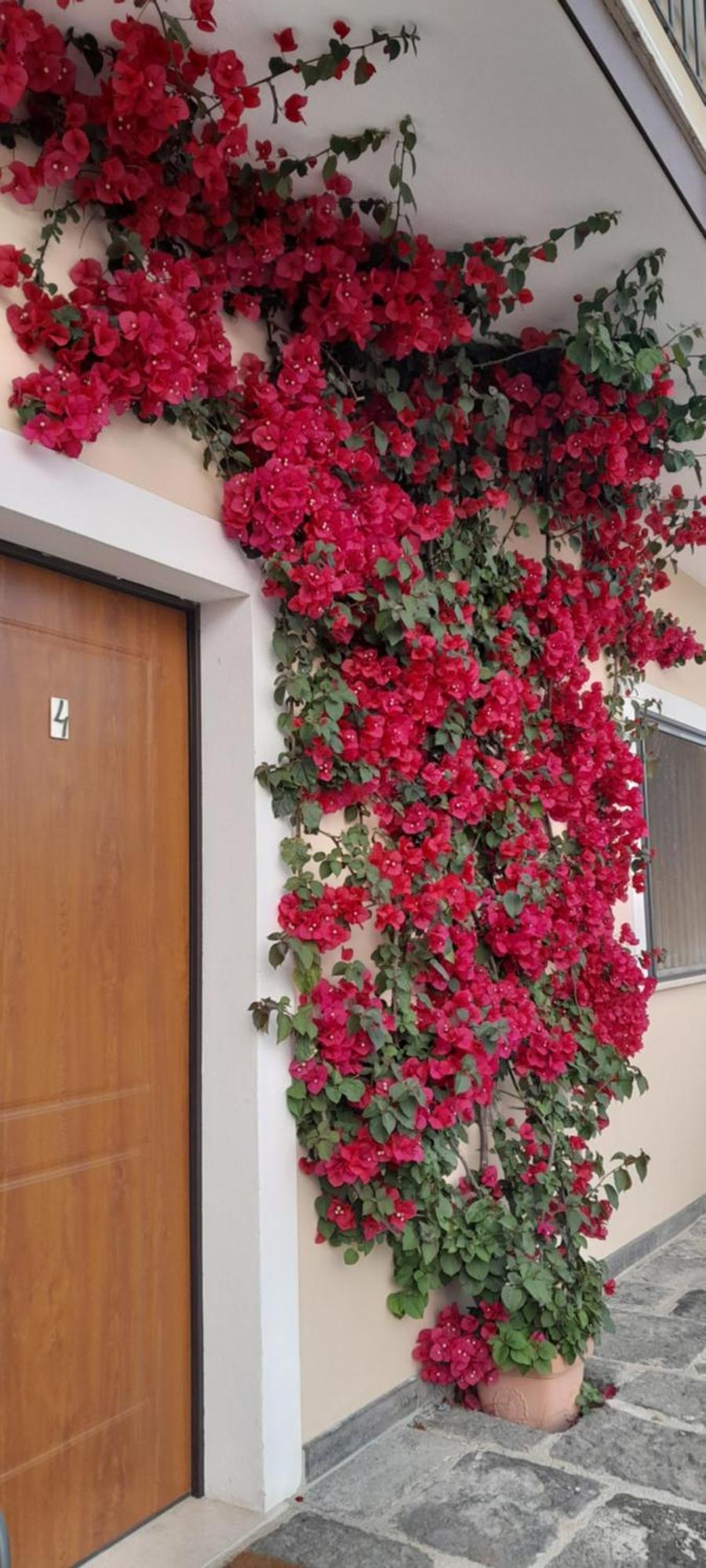كاباتشو - بايستوم B&B Tenuta San Michele المظهر الخارجي الصورة