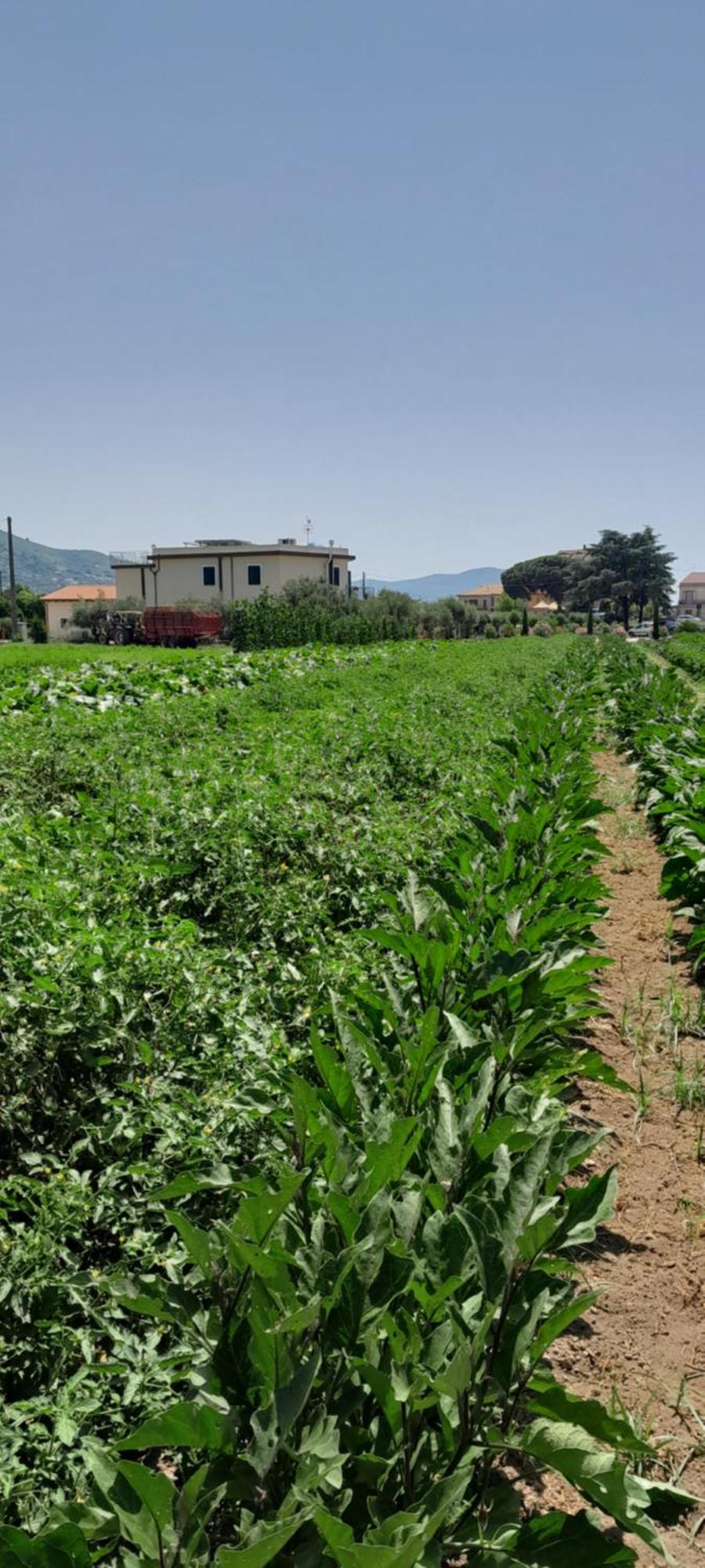 كاباتشو - بايستوم B&B Tenuta San Michele المظهر الخارجي الصورة